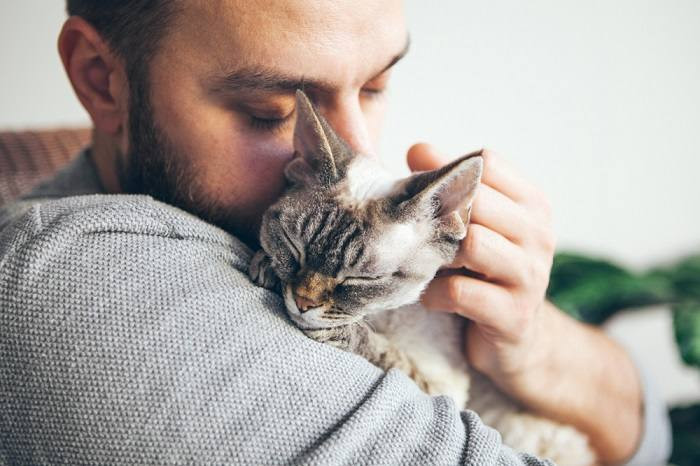 A distressed cat in pain, highlighting the need for compassionate care and medical attention for feline companions experiencing discomfort or distress.