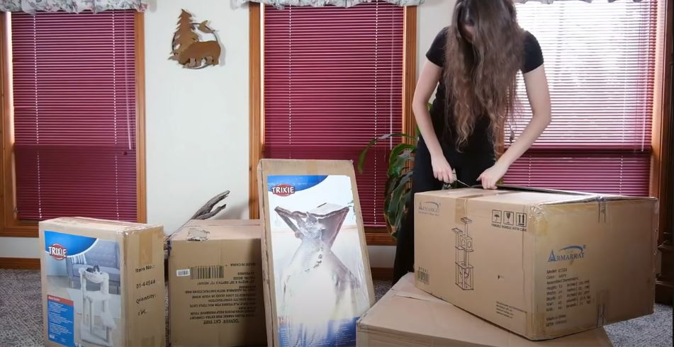 Author's large cats enjoying a sturdy cat tree