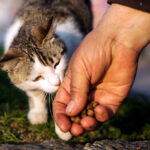 Cat_distribution_system