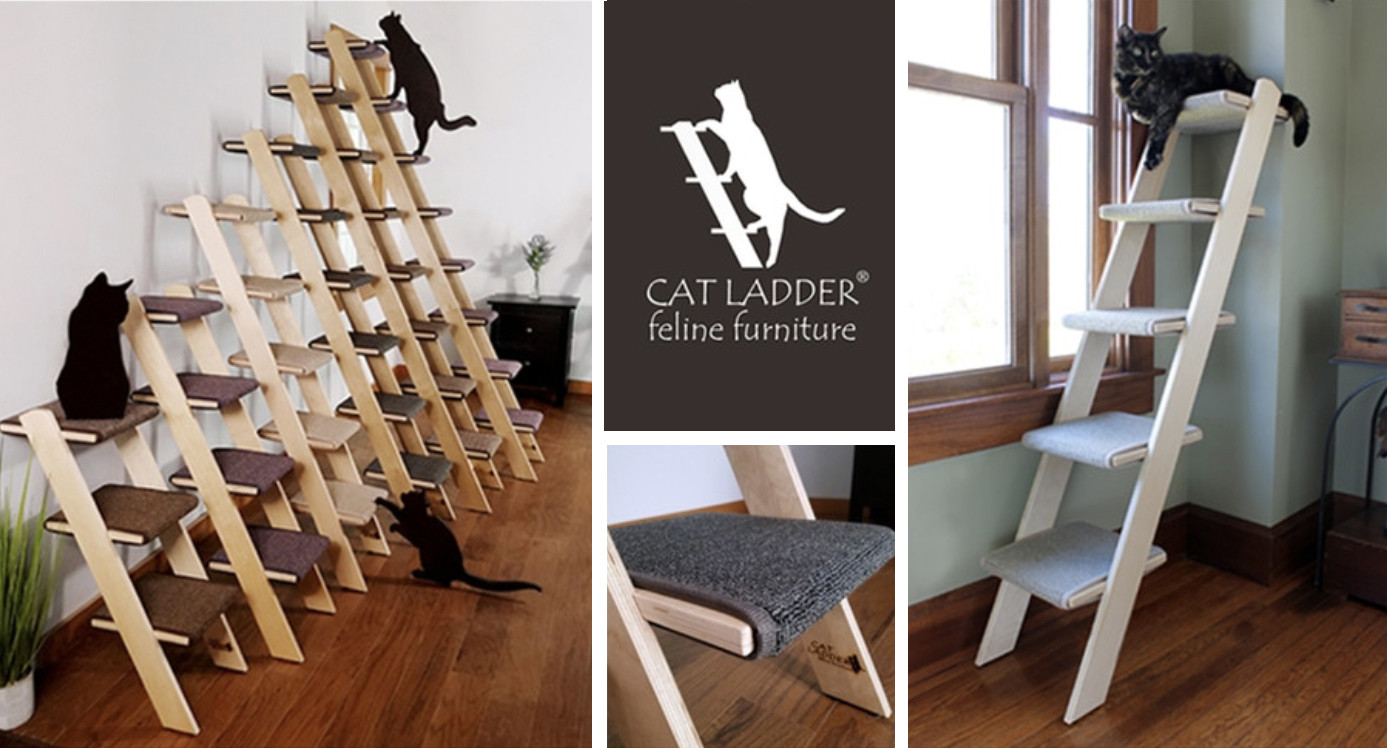 Cat Ladder brand logo and product image