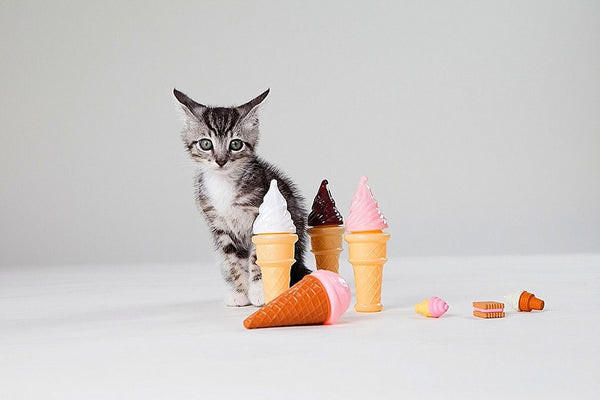 A cute cat with a questioning look, seemingly unsure about a plastic ice cream toy. Alt text: Disappointed cat posing with a plastic ice cream toy, longing for real treats.