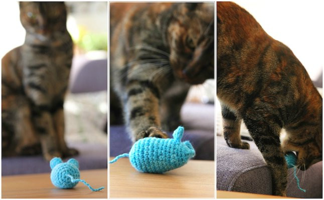 Small cheeky crochet mice cat toys, perfect as a gift for cats on special days