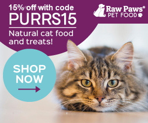 Conscious Cat Ad