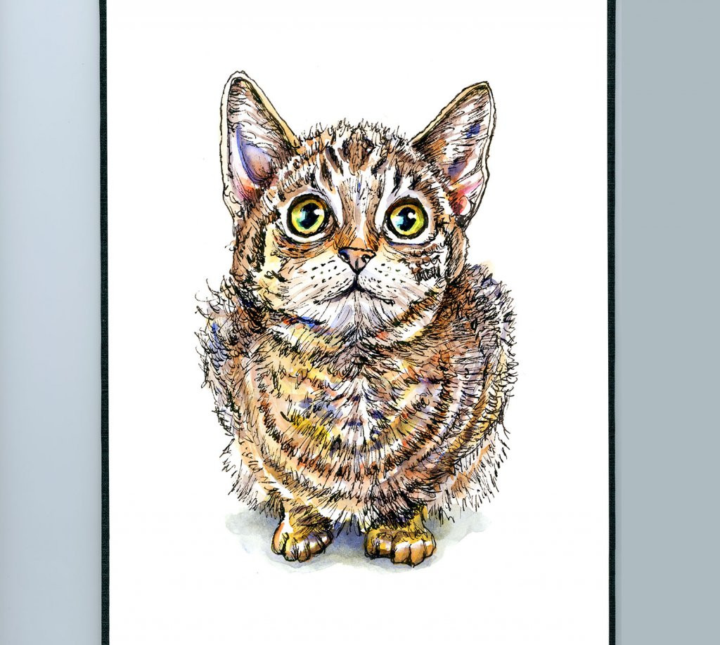 Kitten Eyes Watercolor Illustration Sketchbook Detail