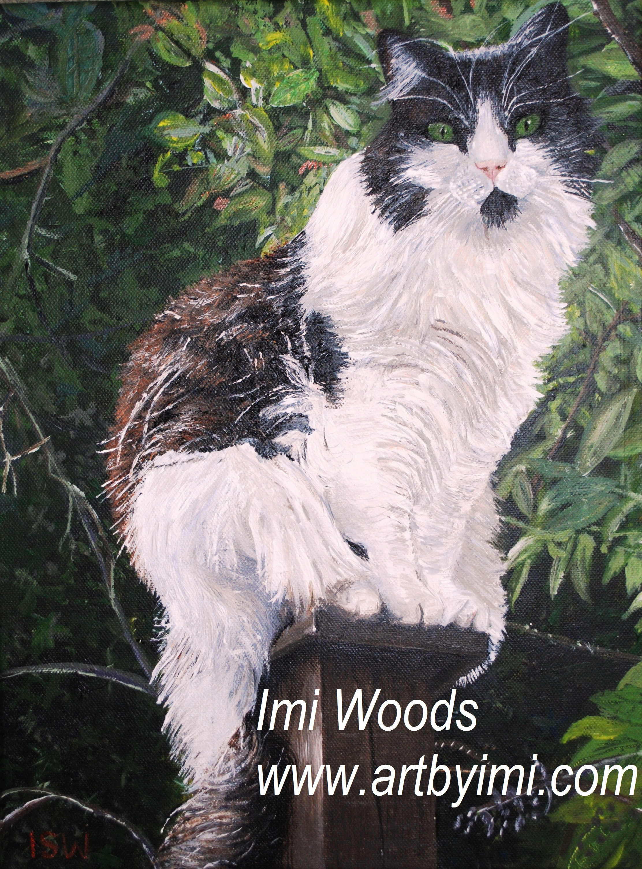 Finished black fluffy cat painting with white whiskers