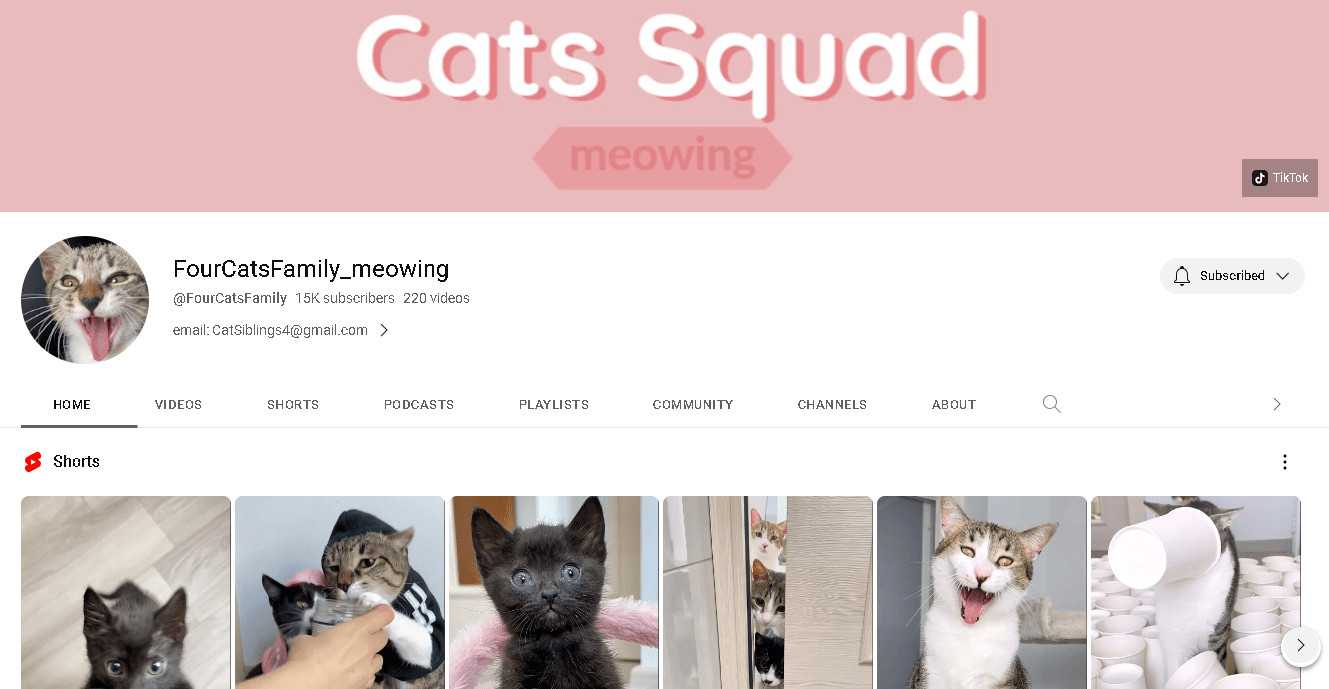 Screenshot of FourCatsFamily YouTube channel page featuring meowing cats