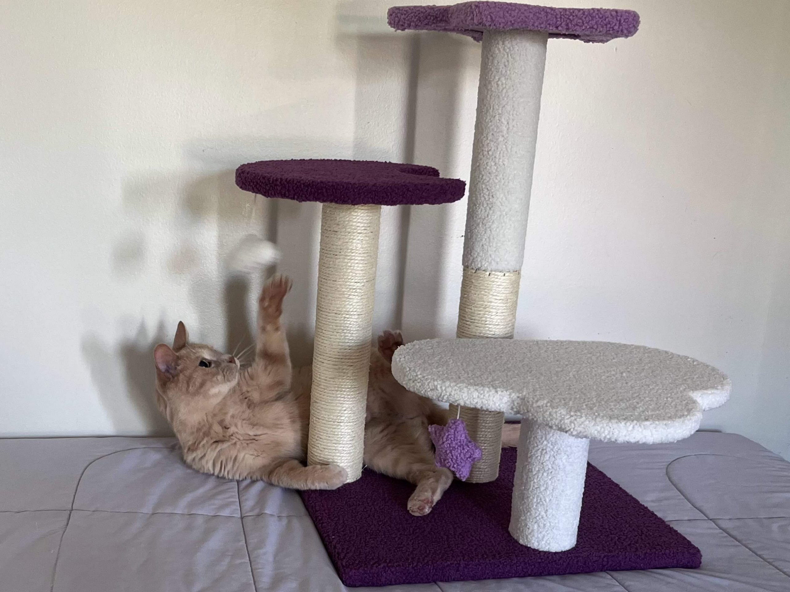 Frisco Star, Moon, and Cloud 25” Cat Tree - Cute but small, not for large cats