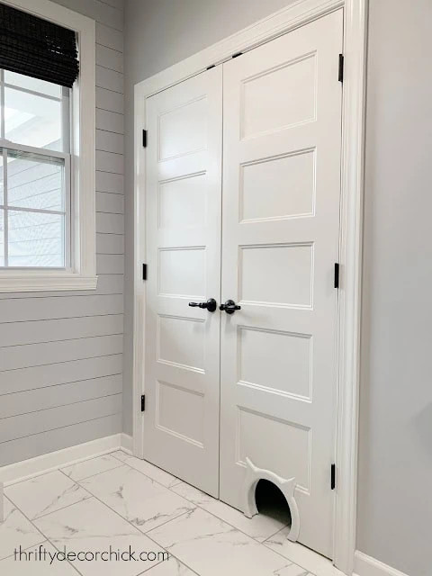 hiding-cat-litter-cat-door