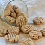 homemade cat treats in a jar