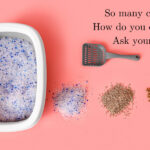 Cat litter variety in boxes