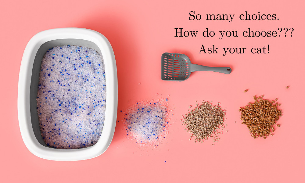 Cat litter variety in boxes