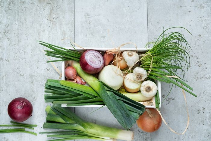 A collection of onions, chives, and garlic, visually representing the Allium family vegetables that are toxic to cats.