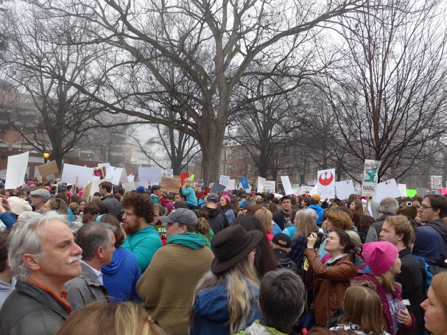 Princess Leia resistance poster at Women's March