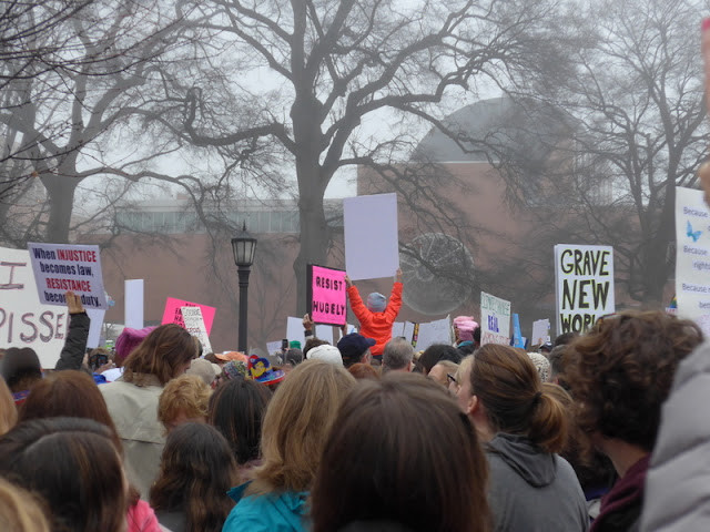 Large crowd at Women's March