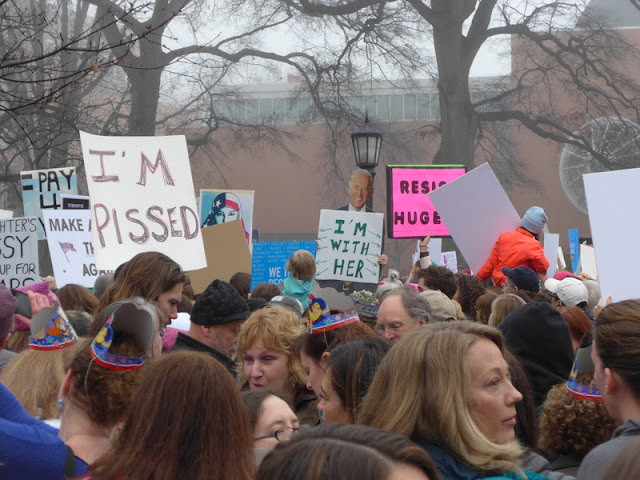 Sign with 'pussy' word at Women's March