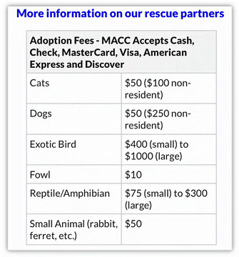 Adoption fee table for cats from a local agency partnering with Petco and Petsmart, showing varying fees based on age.