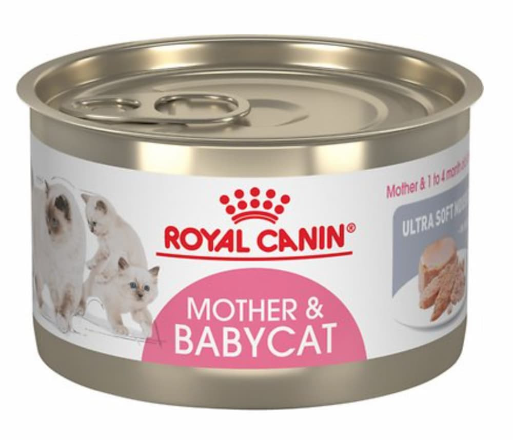 Royal Canin Mother &amp; Babycat Ultra-Soft Mousse Wet Cat Food