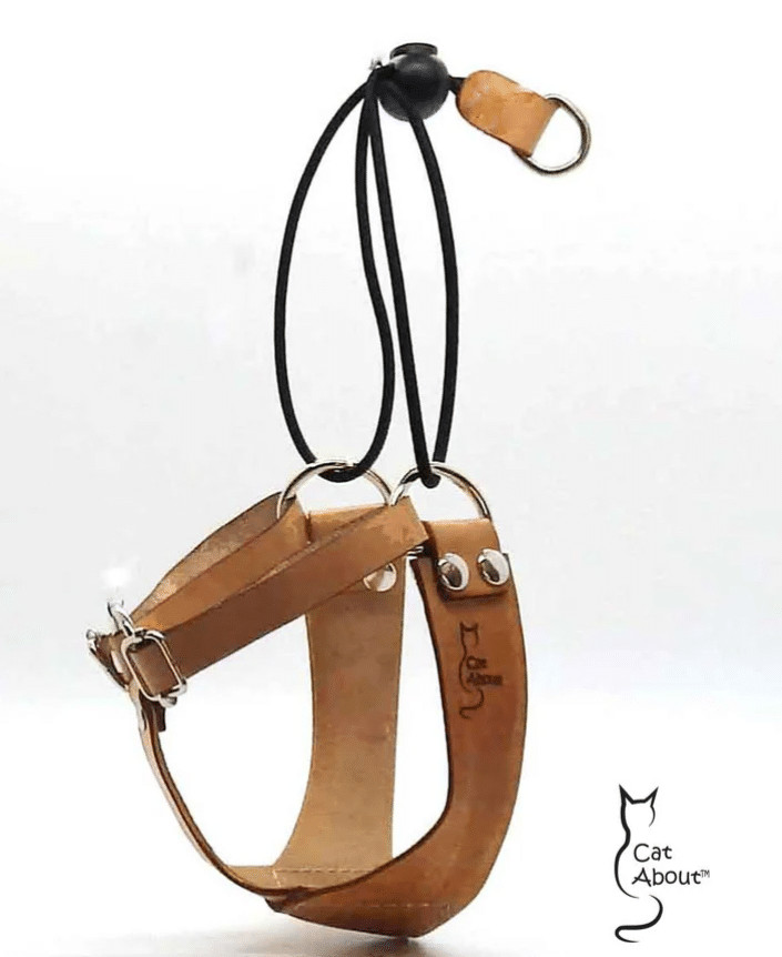 The OutBound Cat Harness™
