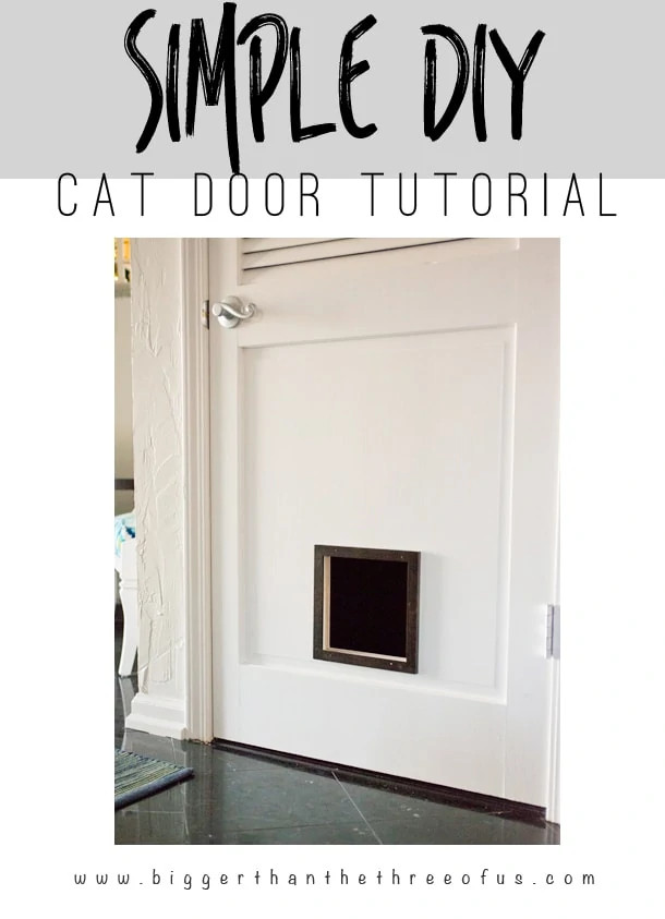 Hop over to learn how to make this Simple DIY Cat Door! Get the tutorial... it