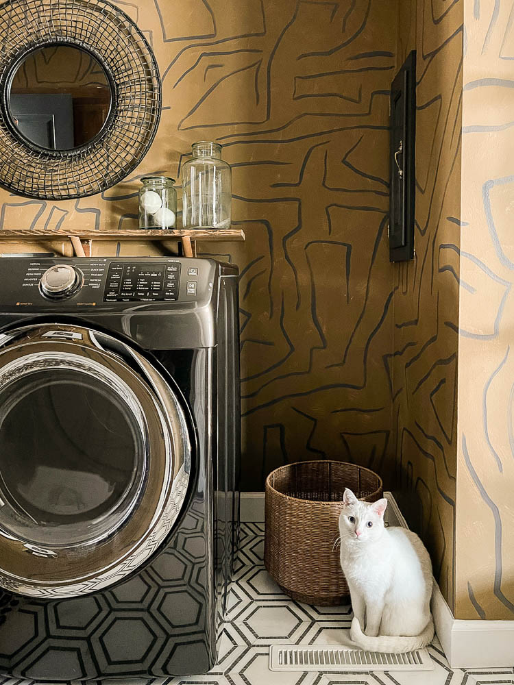 small-utility-room-with-pet-organization-1-of-1.jpg