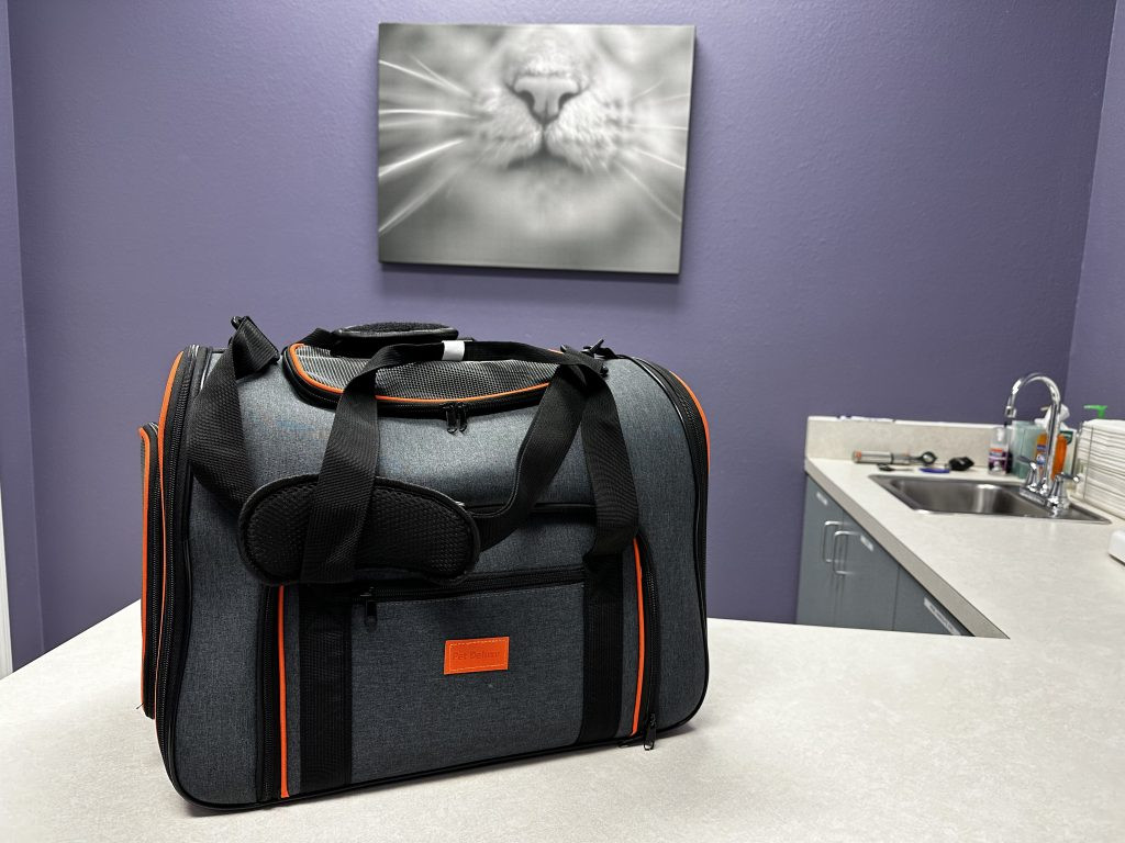 A stylish soft-sided cat carrier, illustrating a less ideal choice for nervous cats for vet visits.
