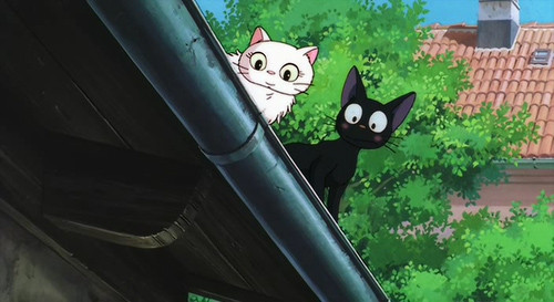 Jiji and Lily sitting together, illustrating the cute cat characters from Kiki's Delivery Service