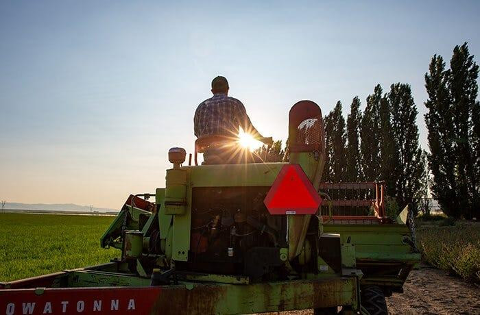 A farmer riding a tractor at sunset