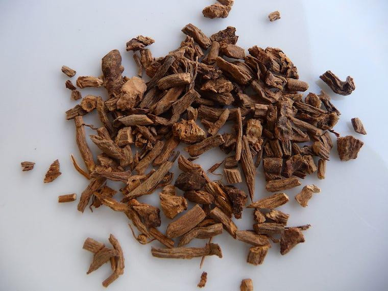 Fresh cilantro or coriander - herbs safe for cats