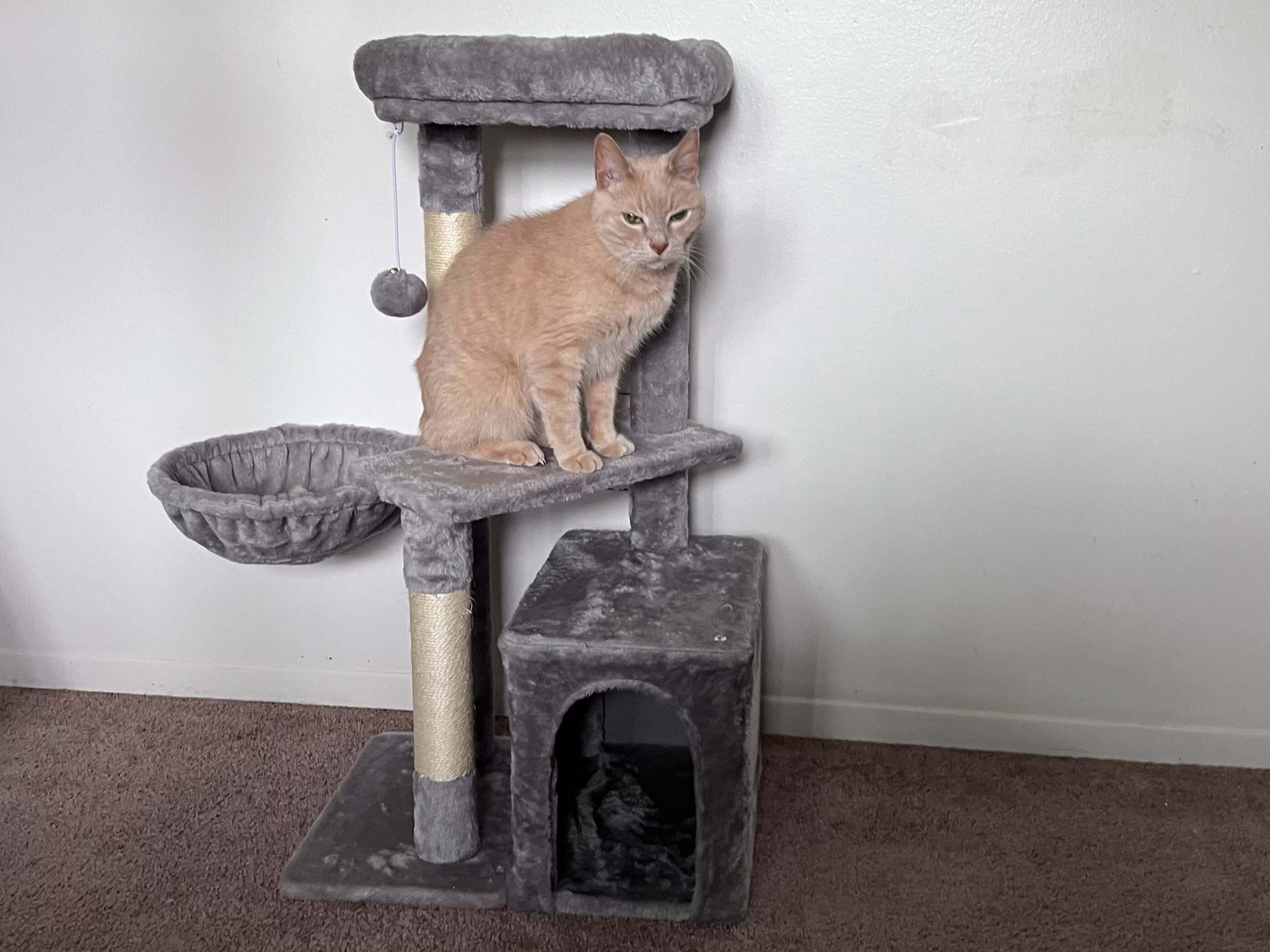 Yaheetech 34.5-in Plush Cover Cat Tree, kitten-friendly but too small for large cats