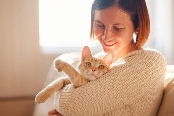 Why Is My Cat Obsessed With Me? 10 Signs They Are!