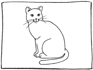 Cat whiskers and tails