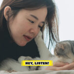 Cat Getting Owners Attention