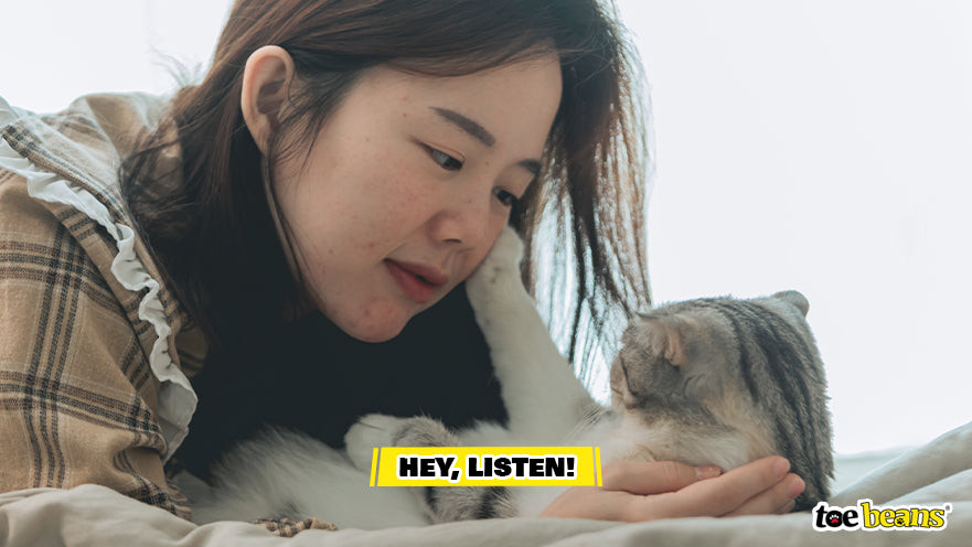 Cat Getting Owners Attention