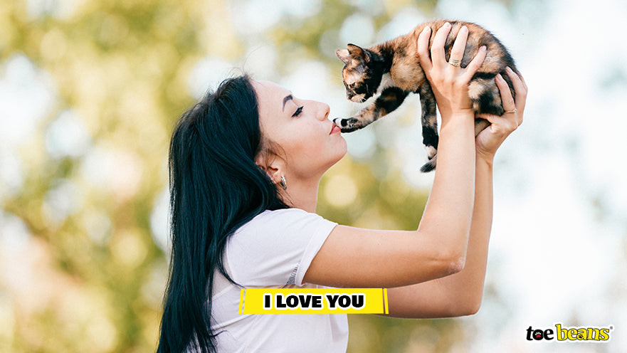 Cat Tapping Owner
