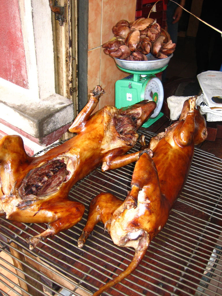 Dog meat displayed, showcasing the reality of dog consumption in some regions