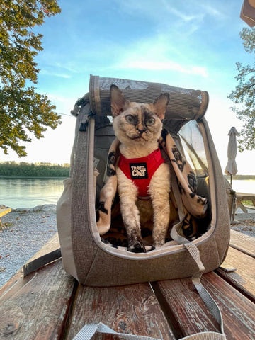 The Navigator cat backpack, ideal for hands-free airport navigation