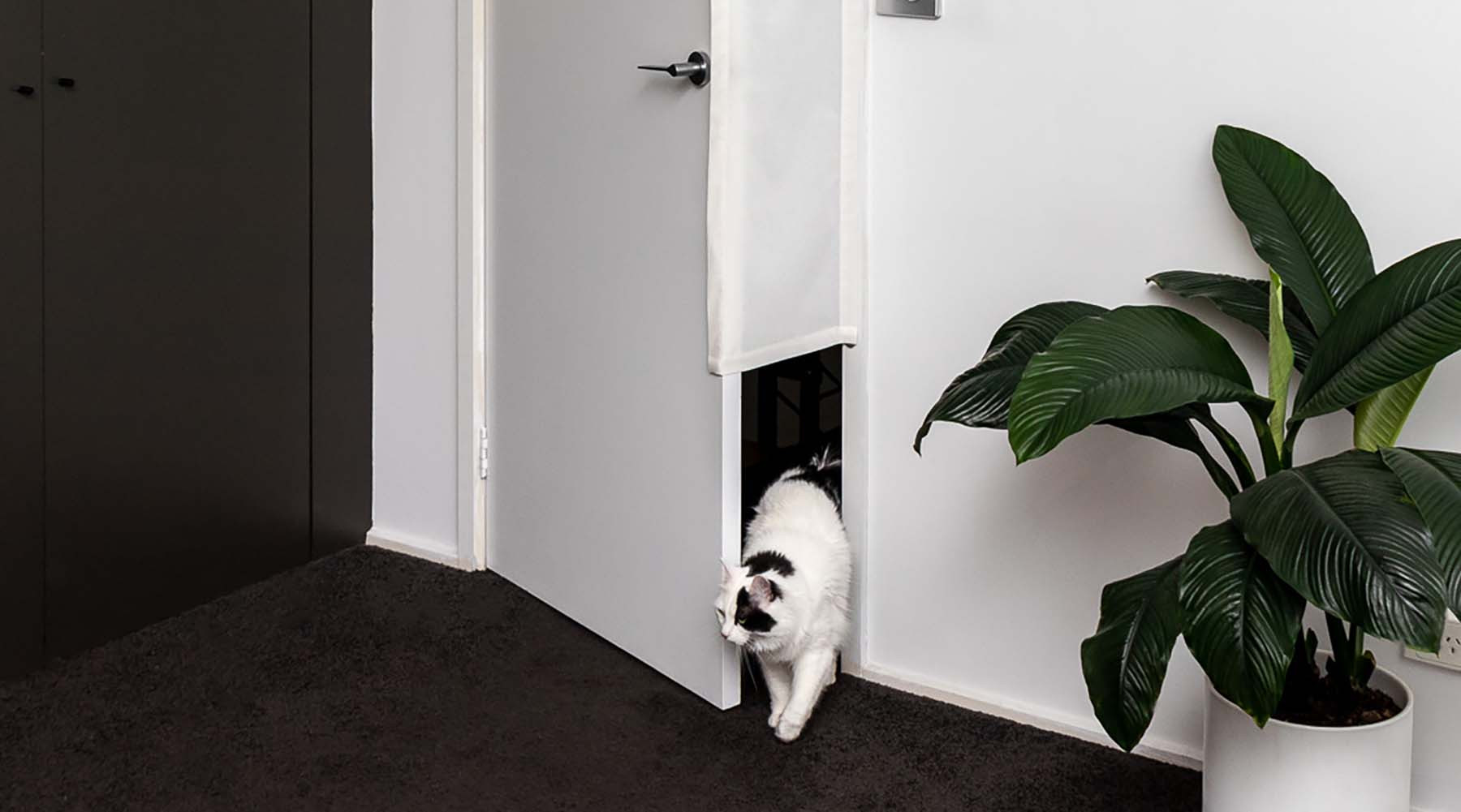 Cat using a Pawtle door, showing a solution to stop scratching by allowing free passage while maintaining privacy