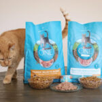 Cat Eating Purina One