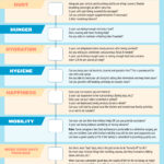 Cat quality of life scale infographic