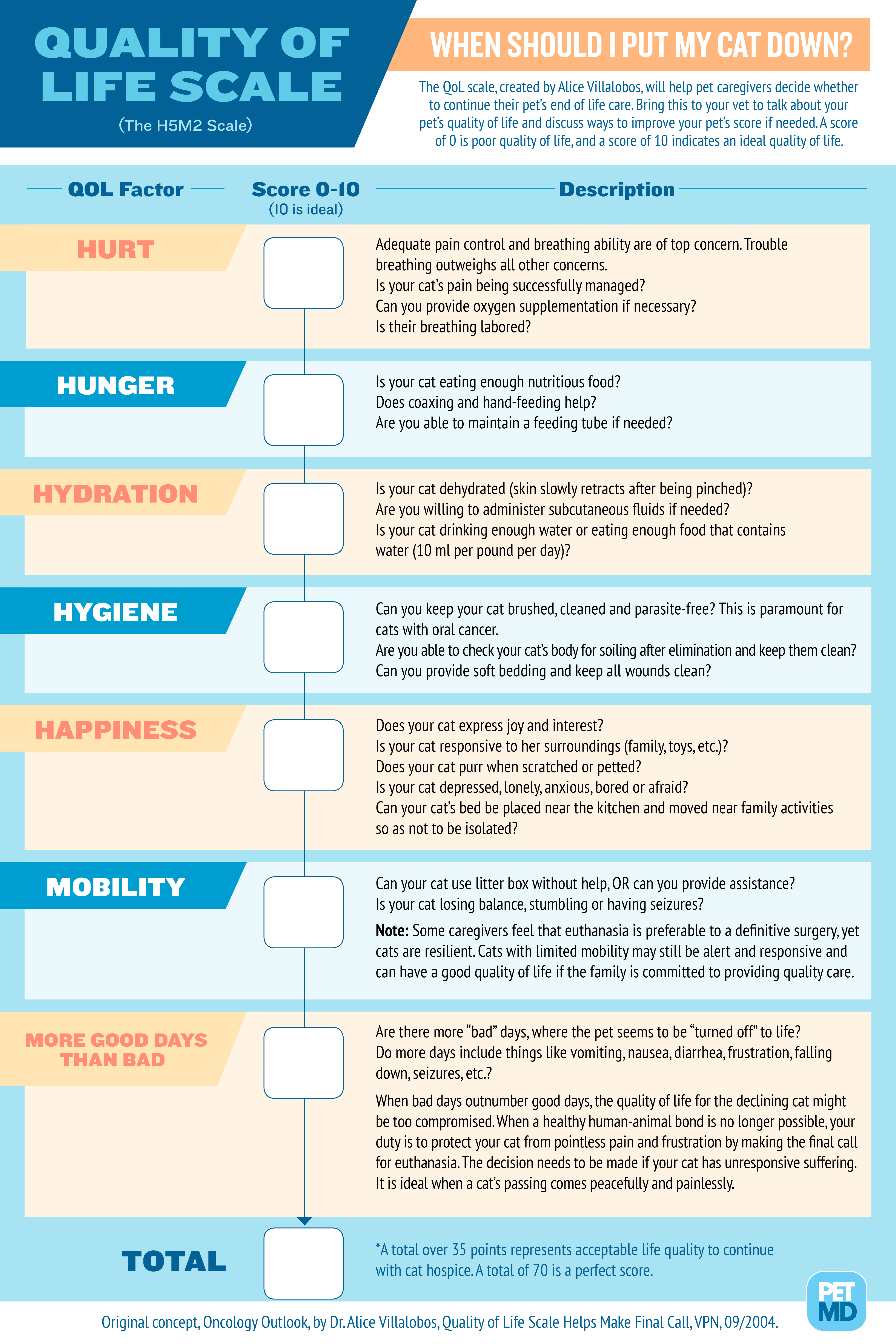 Cat quality of life scale infographic