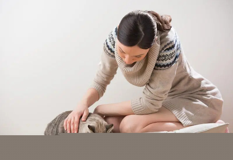 woman petting cat while eating