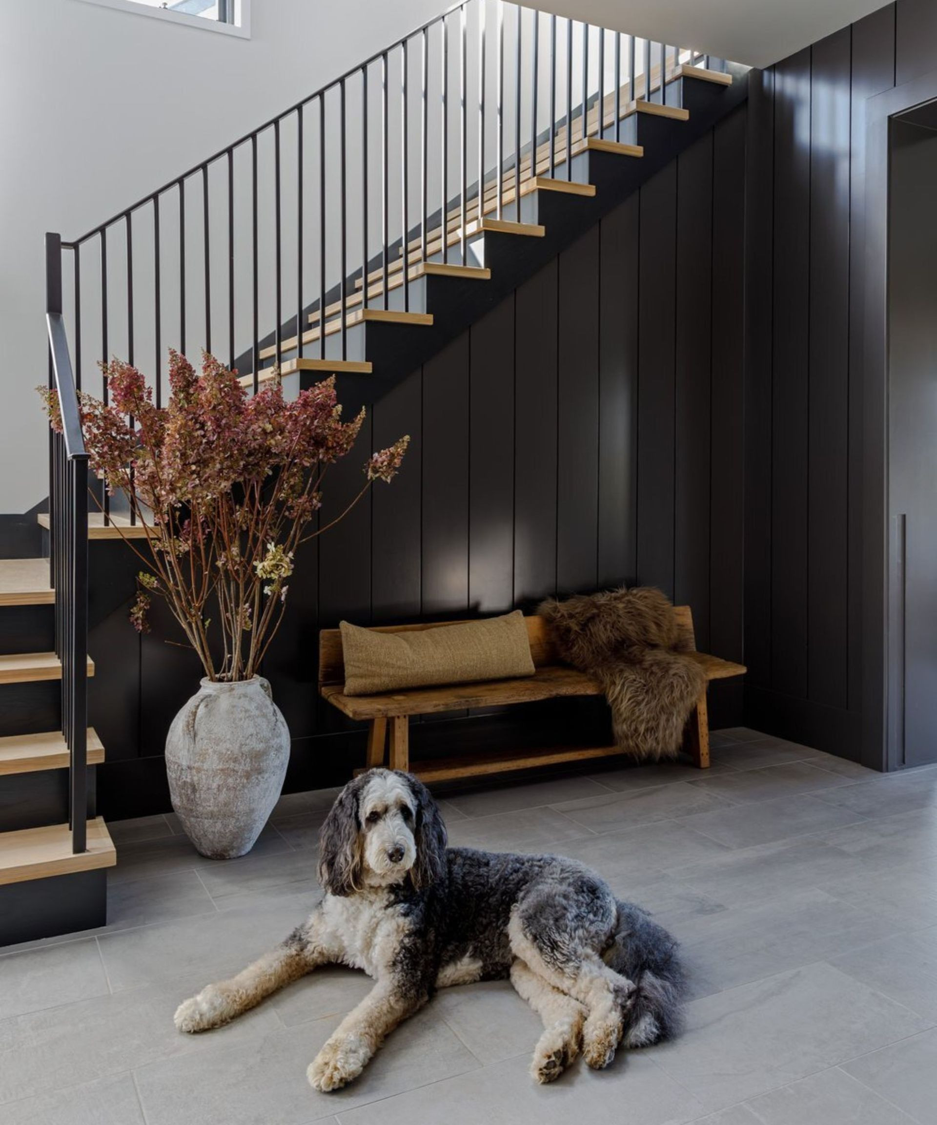 Dog on grey vinyl floor in front of dark grey walls, wooden stairs, bench with cushion and throw, and large flowers in vase in modern home entryway